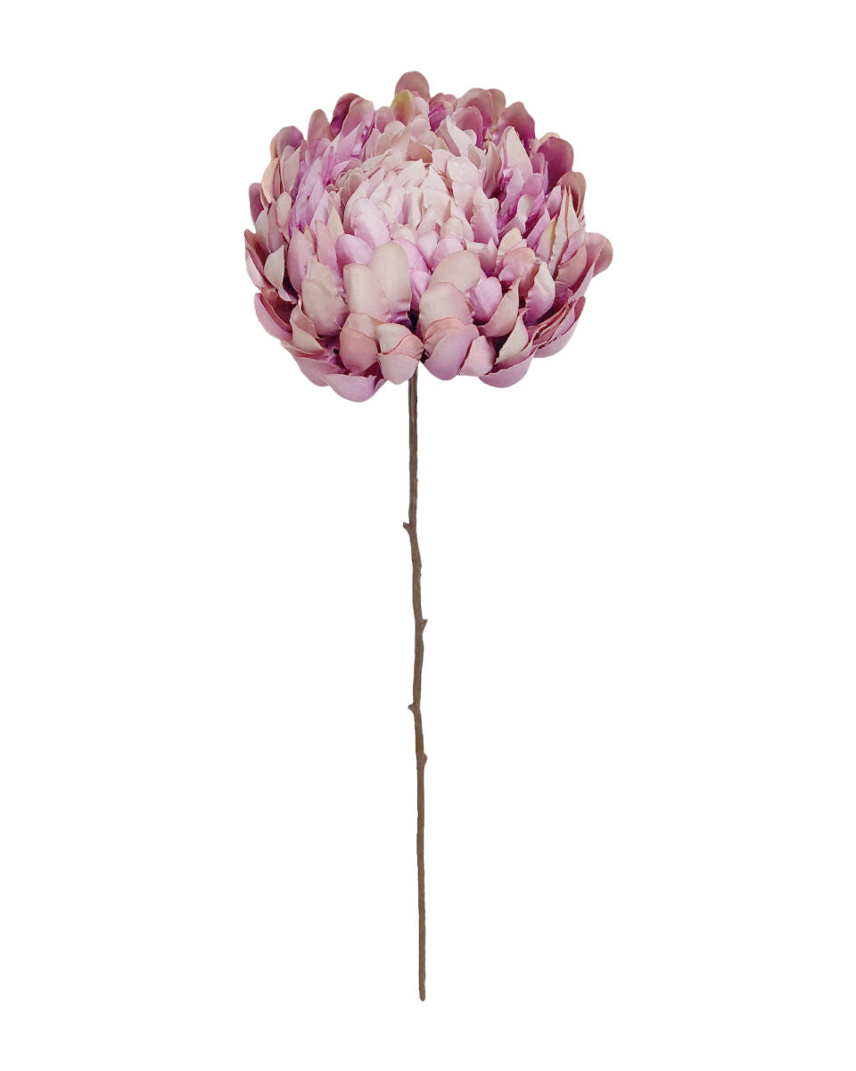 Angel Mum – Clover Pink