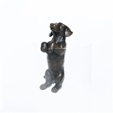 Dachsund Hanging on Rim