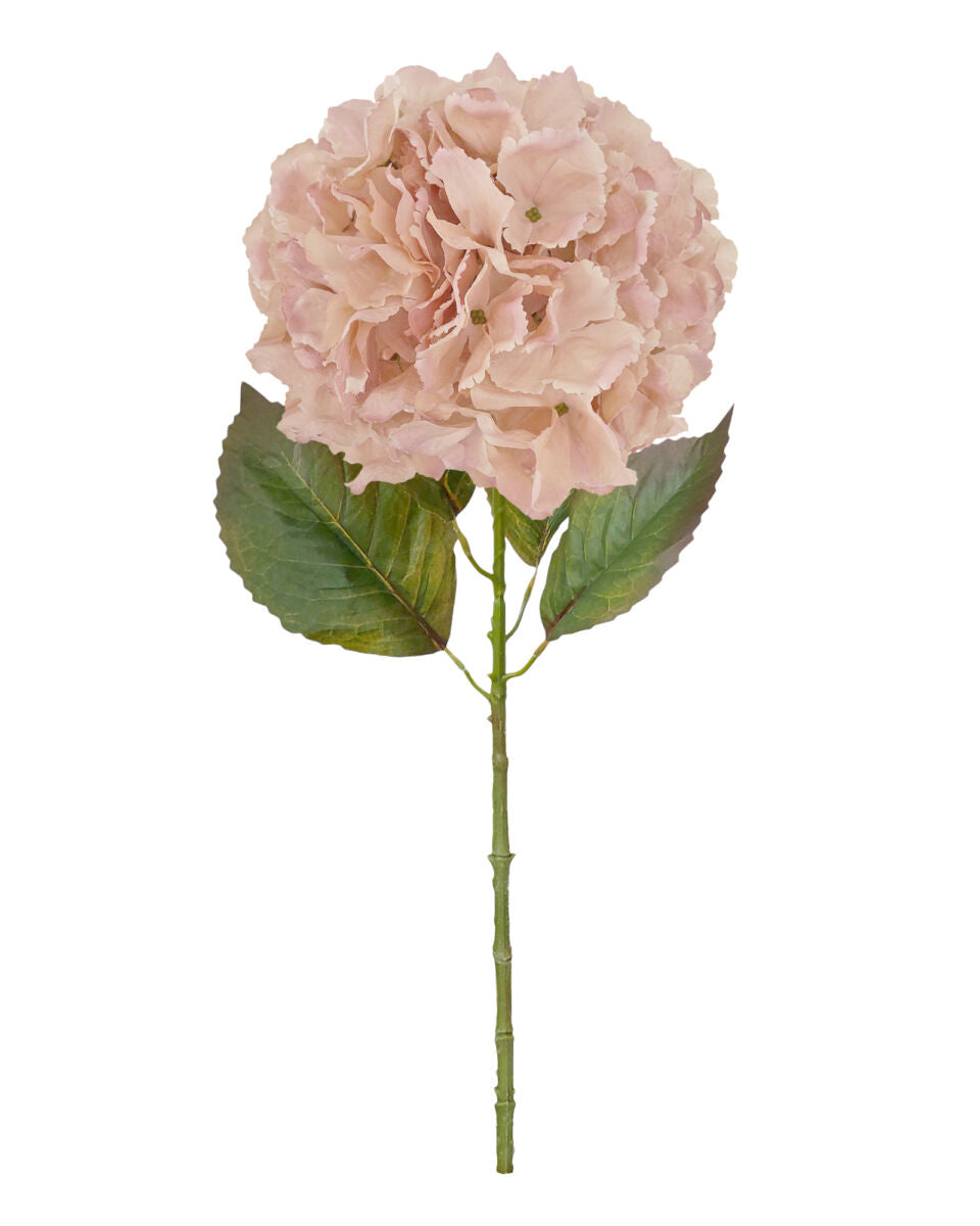 Large Ball Hydrangea – Soft Rose