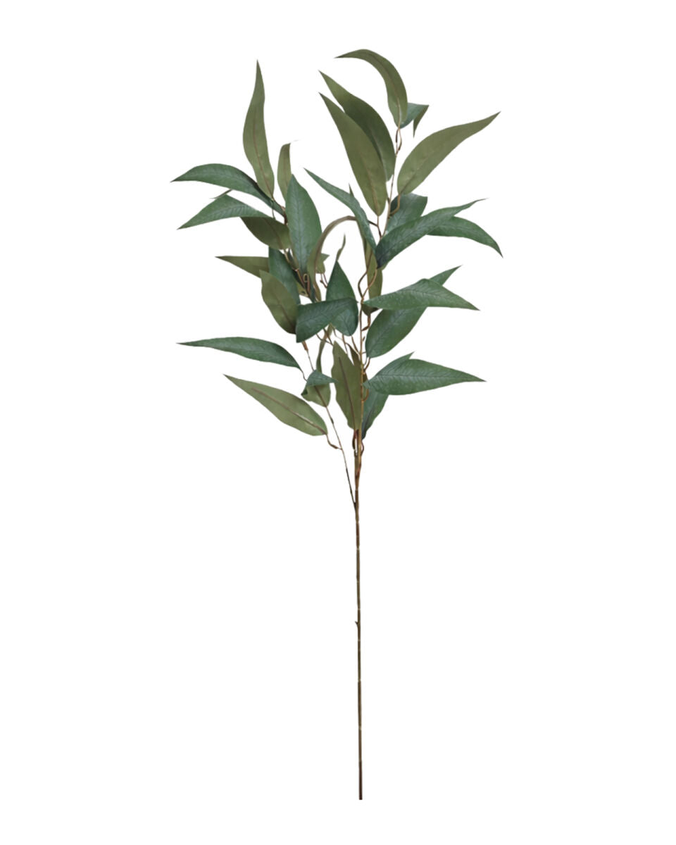 Large Pointed Gum Foliage