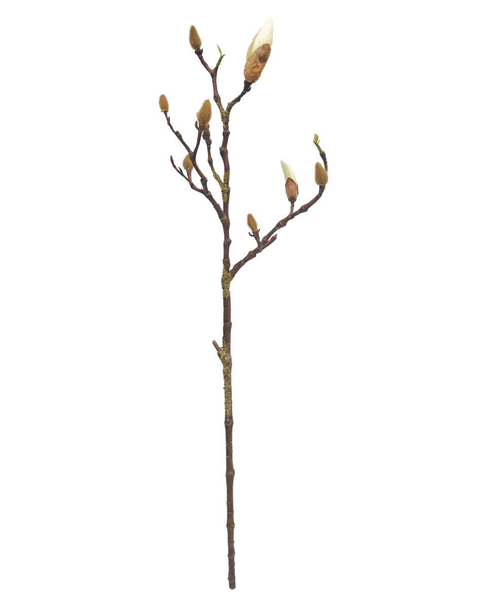 Magnolia Bud Branch – White