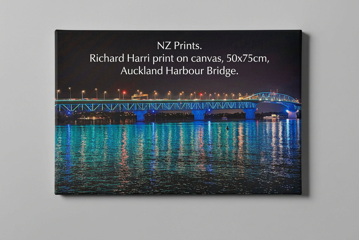 Glendowie /St Heliers Scouts - Christmas Christmas Raffle Ticket - $5 each