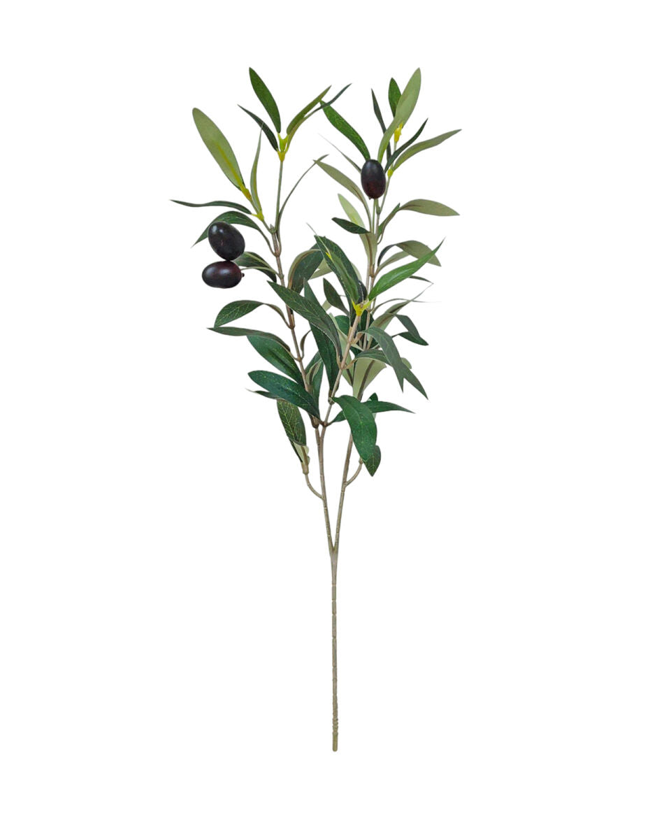 Olive Branch 50cm