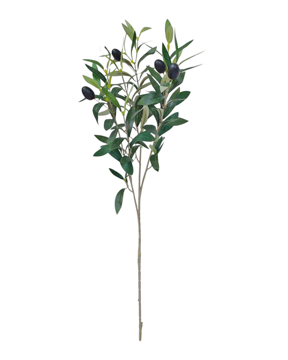 Olive Branch 70cm