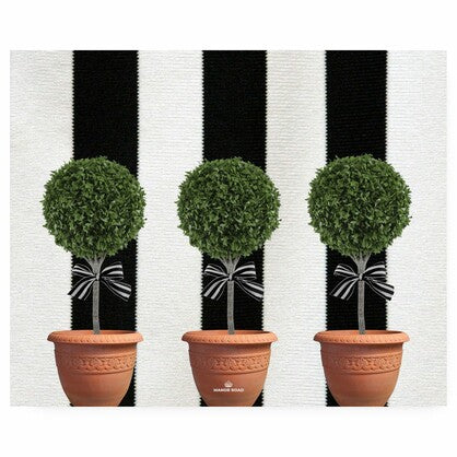 Manor Road Topiary or Magnolia Placemats - 31x38cm x 30 Pages