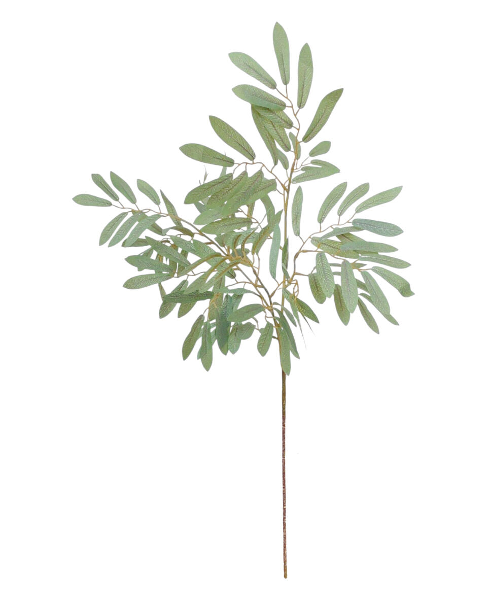 Ruscus Leaf Spray – Green