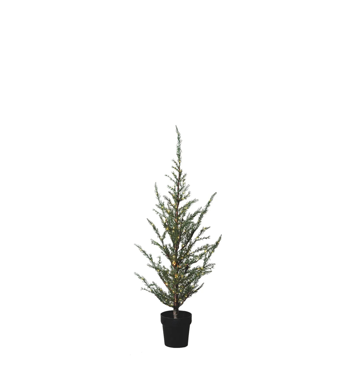 Sirius Mila Cedar Tree 1.3m