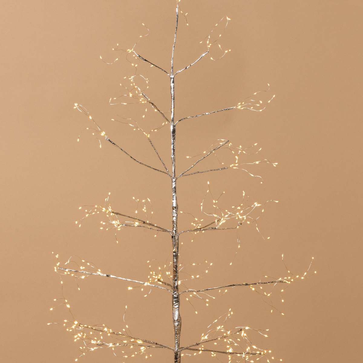Silver Arctic Birch Seed Light Trees