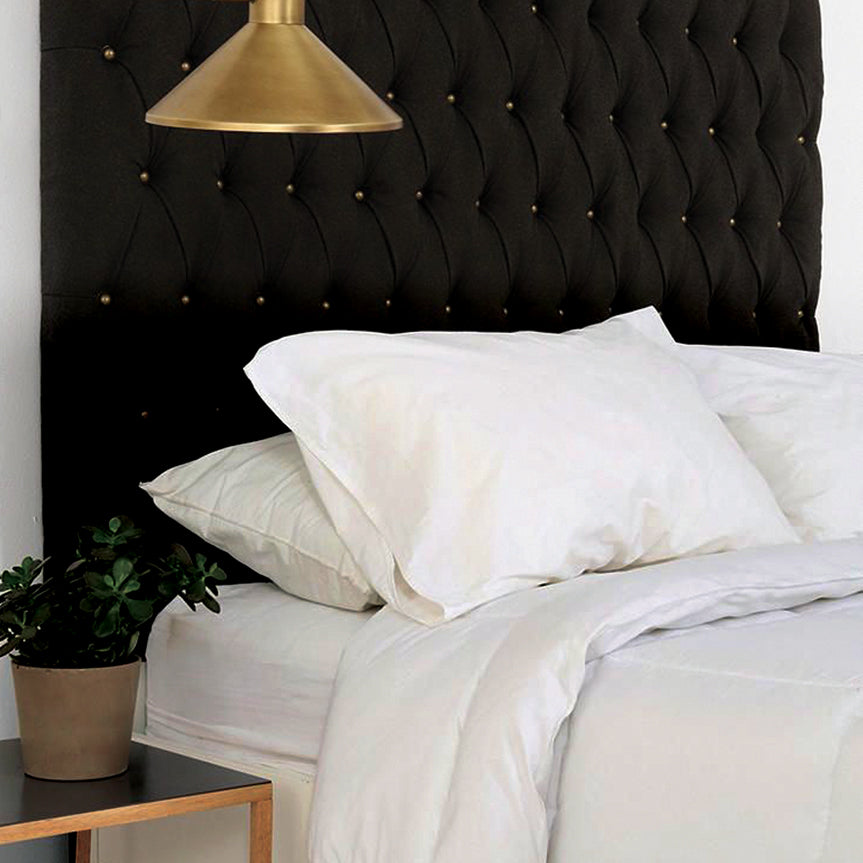 Soho 100% Cotton Fitted Sheet