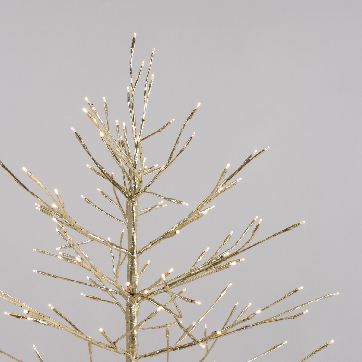 Champagne Twig Trees