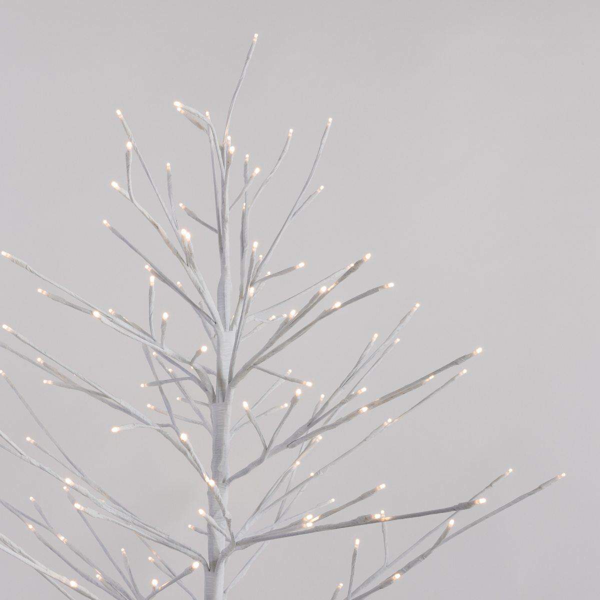 White Twig Trees