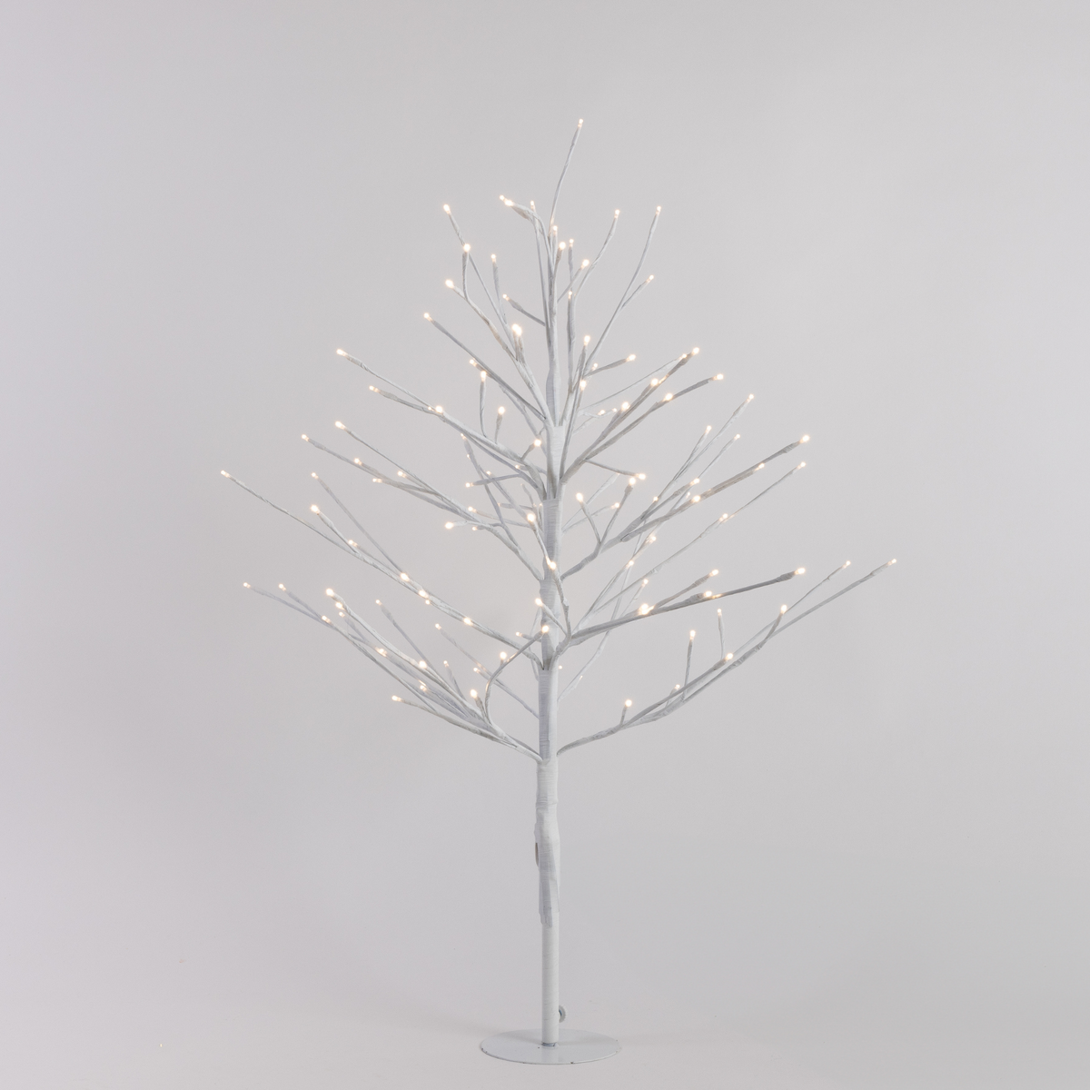 White Twig Trees