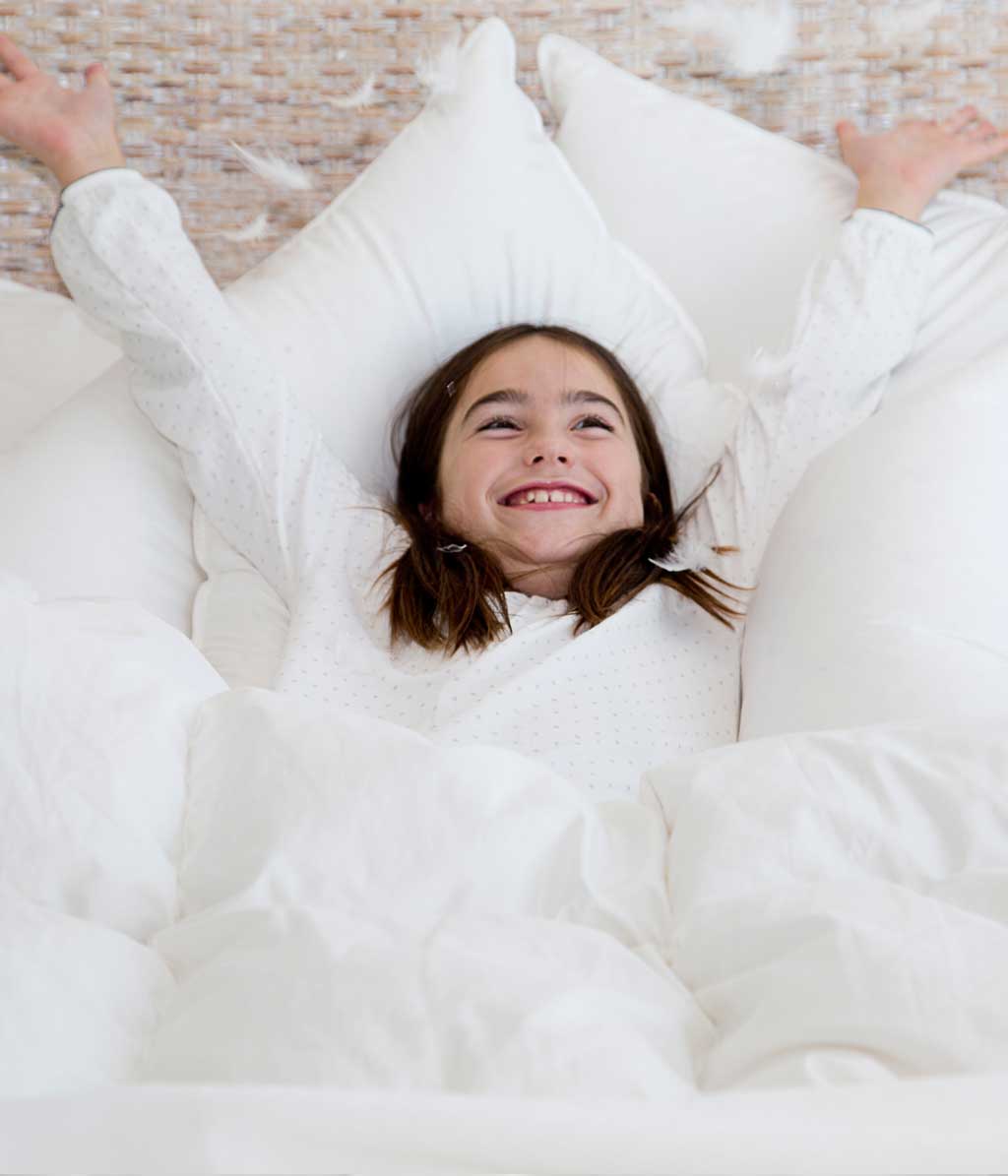 All Around Goose Feather & Down Lodge Pillow