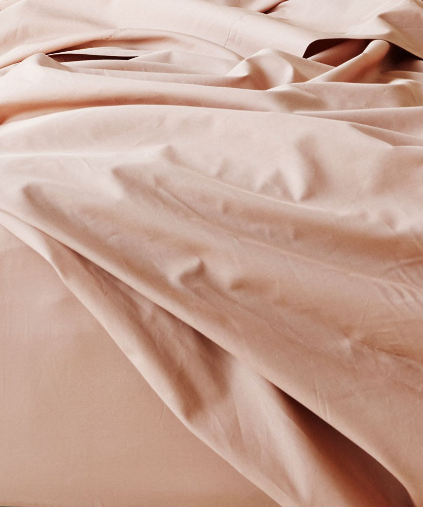 Fresh Cotton Percale European Pillowcase - Cedar