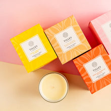 Tilley NEW Classic White Suede Tobacco & Amber 375g Scented Soy Candle