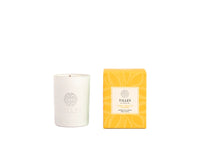 Tilley Candle Classic White Suede Tobacco & Amber 80g Scented Soy