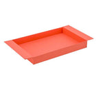 Metal Tray - Coral