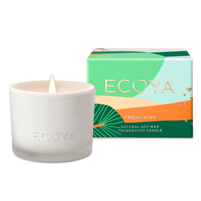 Ecoya Monty Jar Fresh Pine 90G