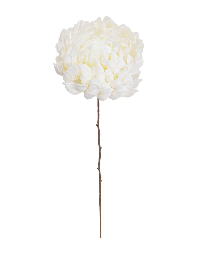 Angel Mum – Ivory