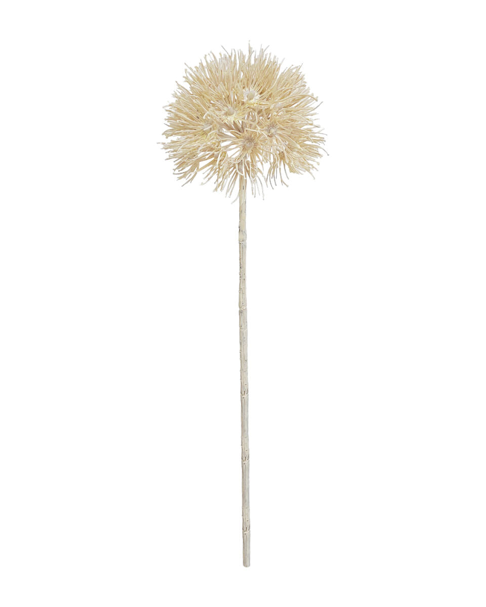 Allium Seed Head – Cream 45cm