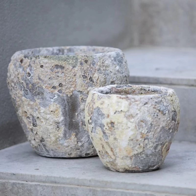 Frankly Cotton - Atlantis Juliet Planter Atlantis Each  6831Ad2