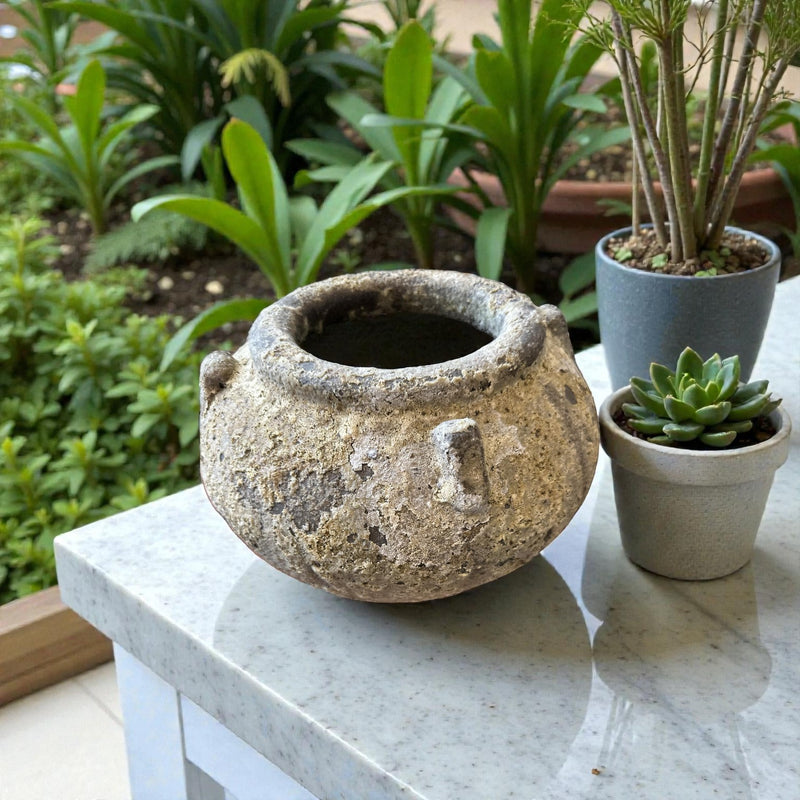 Frankly Cotton - Atlantis Small Stew Pot 6844Ads / 6944Ads