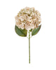 Ball Hydrangea – Antique Ivory 50cm