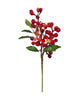 Mini Berry – Mixed Red