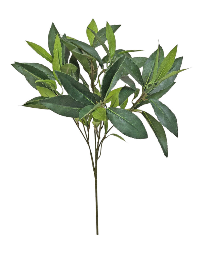 Bay Spray – Green