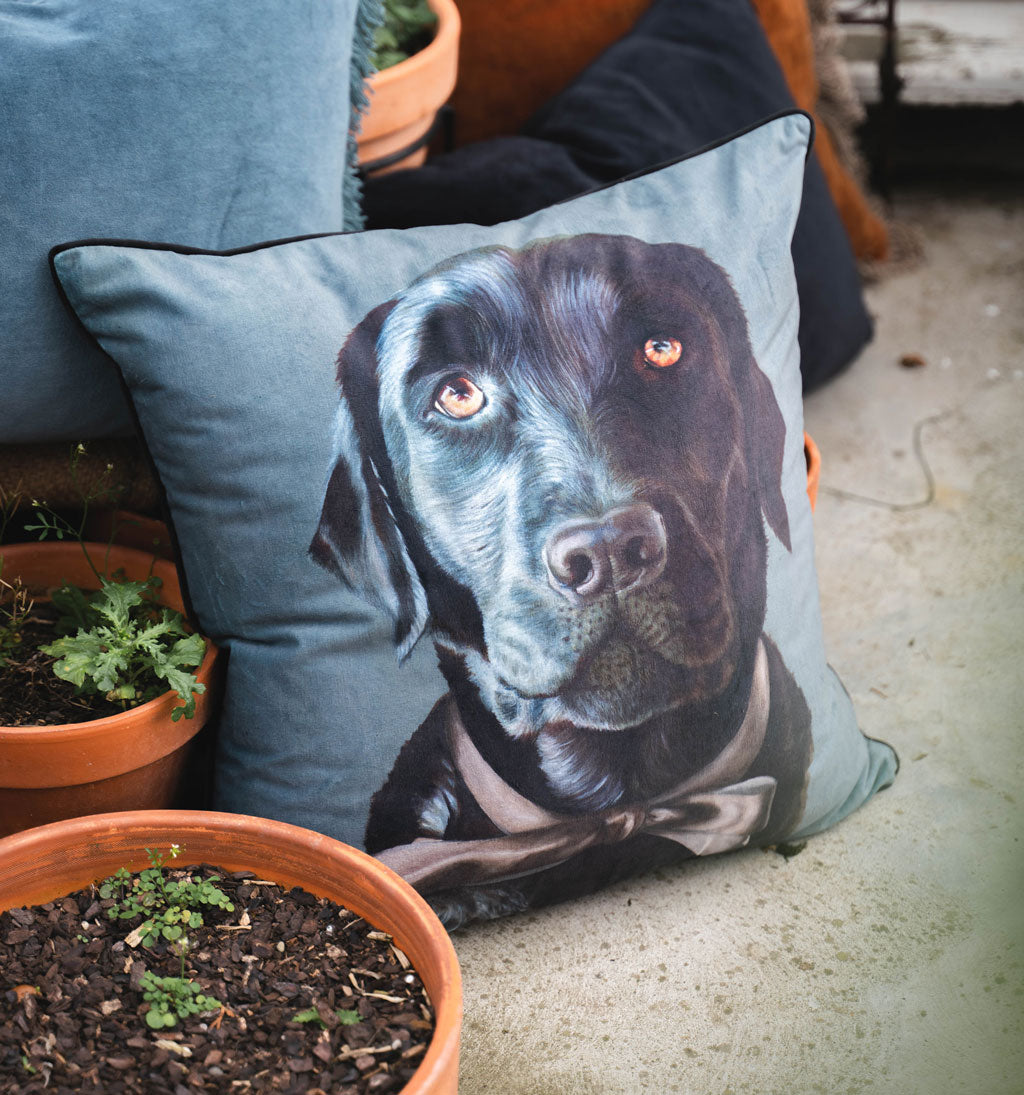 Baghie The Lab Cushion Cover