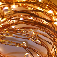 5m Copper Warm White Battery Seed Lights