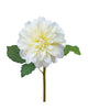 Dahlia Cutting – Cream/Green