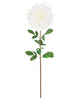 Dinner Plate Dahlia – White