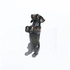Dachsund Hanging on Rim