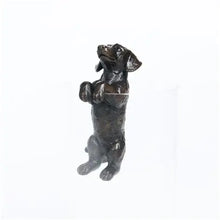 Dachsund Hanging on Rim
