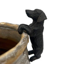 Dachsund Hanging on Rim