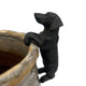 Dachsund Hanging on Rim