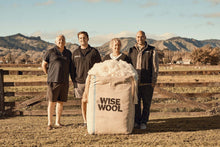 Wisewool™ Pillow Duvet