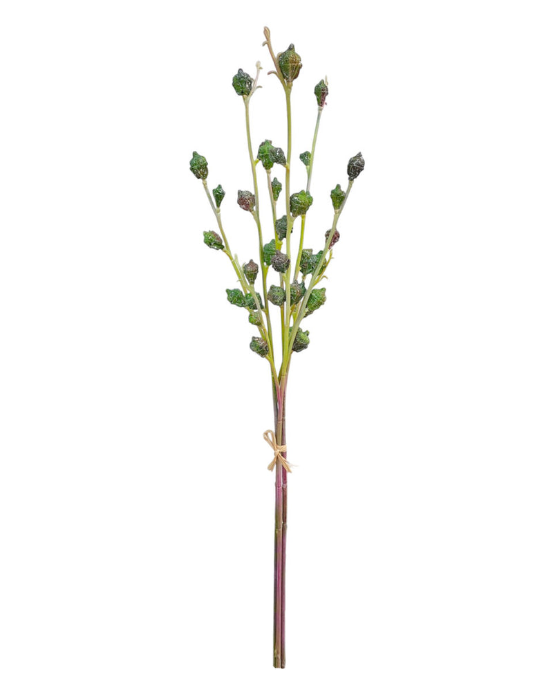 Eucalyptus Pods – Green