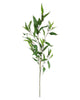 Tall Seeded Eucalyptus Branch – Green