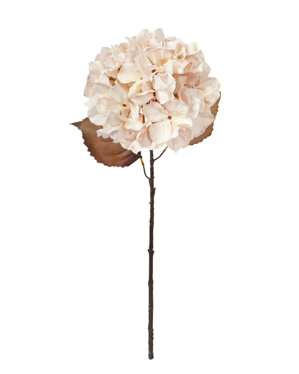 Large Fall Ball Hydrangea – Antique Cream