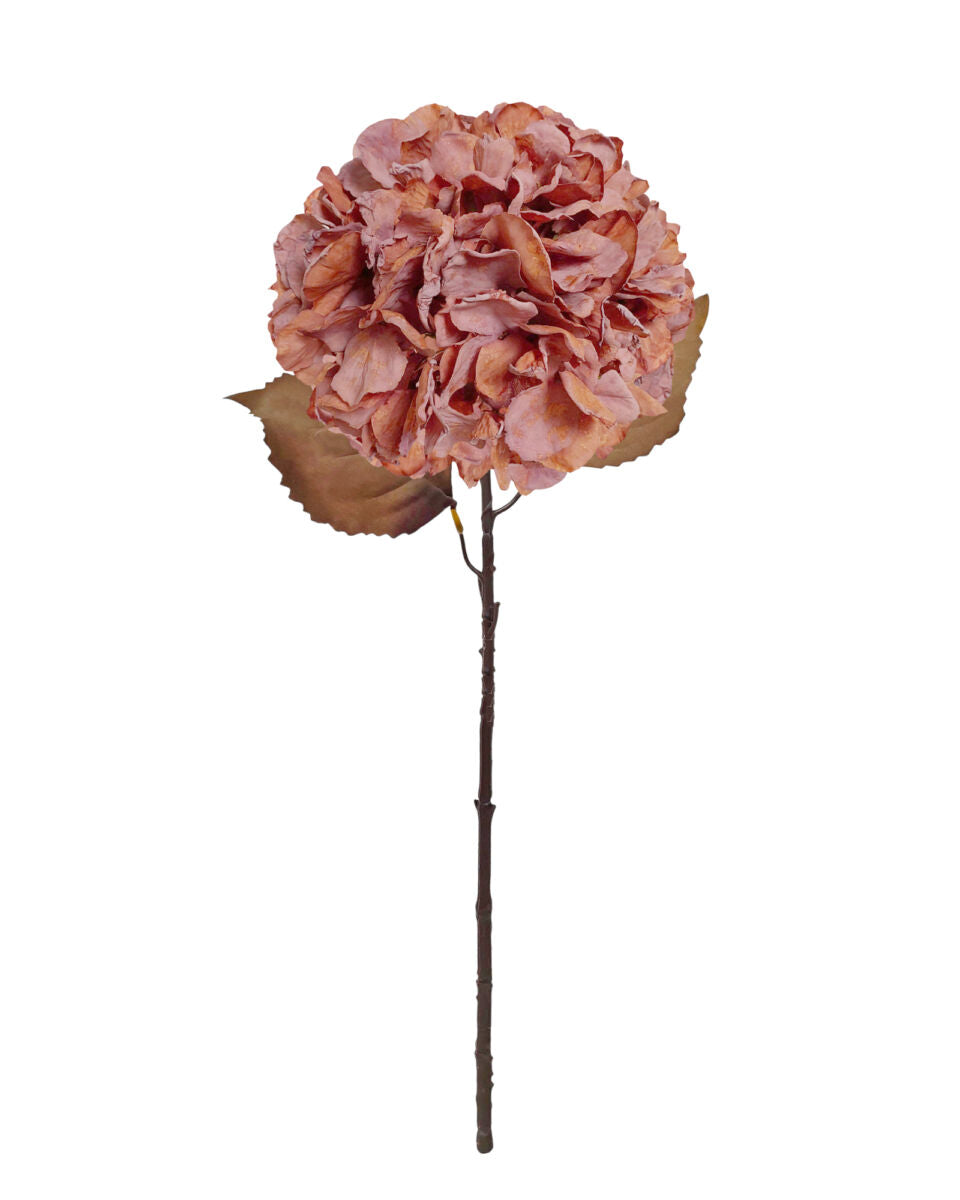 Large Fall Ball Hydrangea – Antique Cinnamon