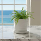 Frankly Cotton Stacked Ceramic Plant Pot