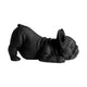Frenchie Stretching - Black