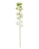 Canterbury Bells – Green/White