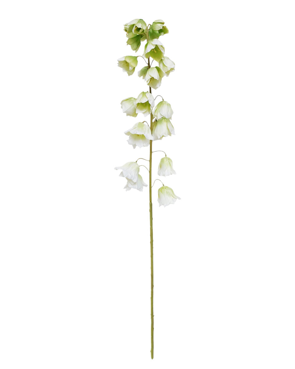 Canterbury Bells – Green/White
