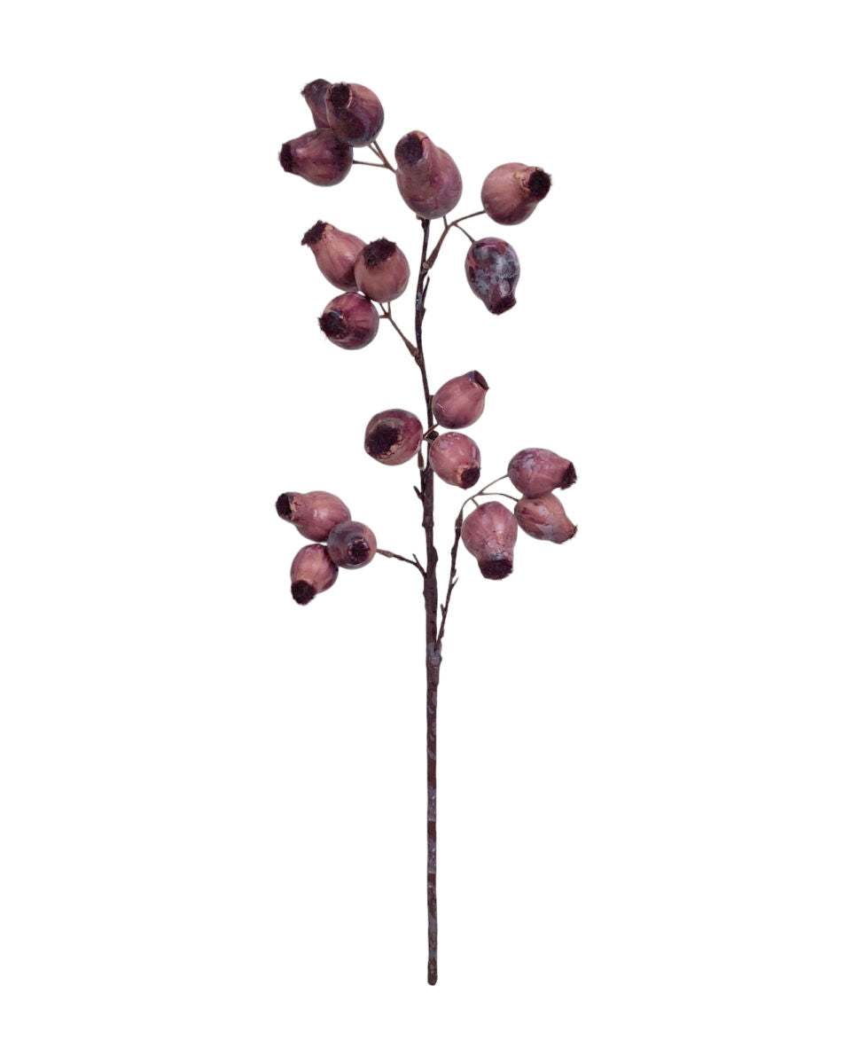 Gum Nut Pods – Aubergine