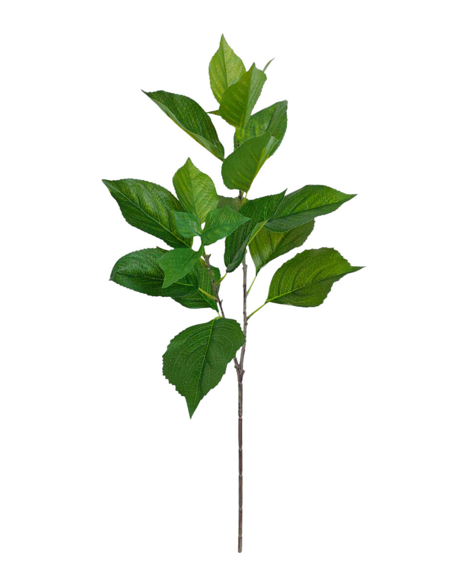 Hydrangea Foliage Spray – Green