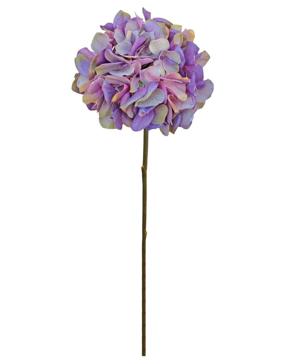 Vintage Hydrangea – Lavender