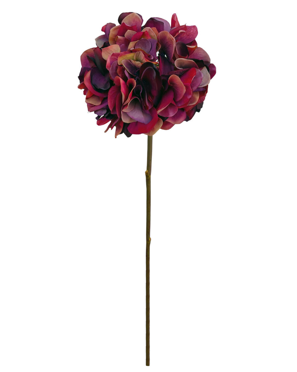 Vintage Hydrangea – Magenta